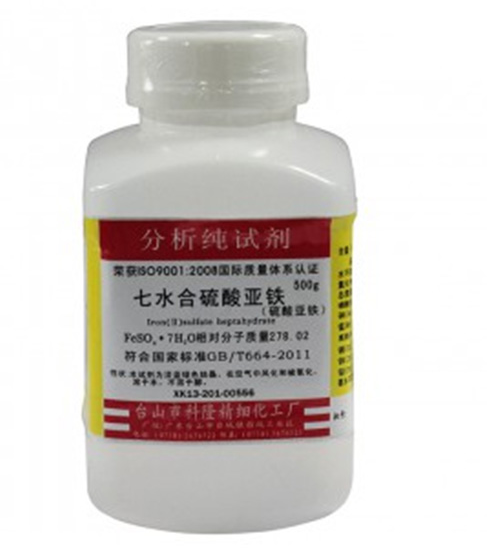 好色先生下载污